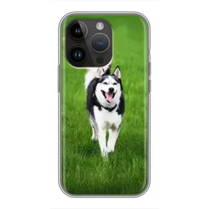 Чохол з Хаскі iPhone 14 Pro - (AlphaPrint) (Радісний Хаскі)