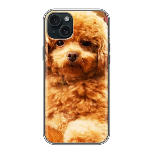 Чехол с принтом «Щенок Бишон» для iPhone 14 Plus Чехол с принтом «Щенок Бишон» для iPhone 14 Plus