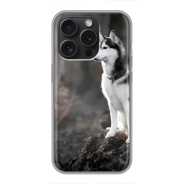 Чехол с принтом «Верный пес» для iPhone 15 Pro