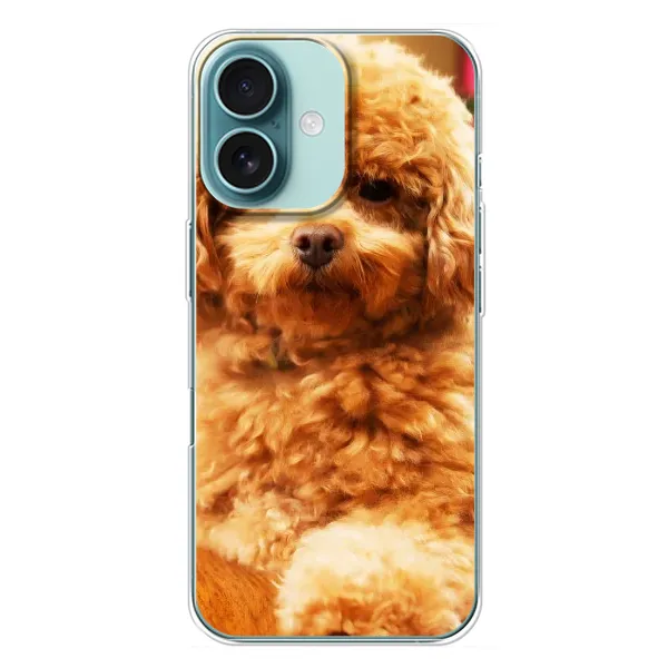 Чохол з принтом «Цуценя Бішон» для iPhone 16 Plus