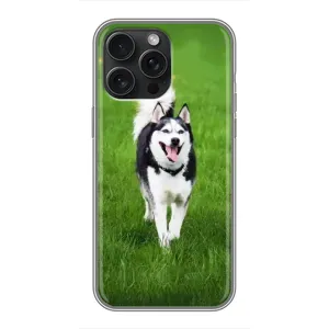 Чехол с Хаски для iPhone 16 Pro Max - (AlphaPrint) (Радостный Хаски)