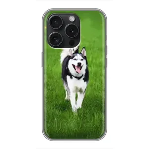 Чехол с Хаски для iPhone 16 Pro - (AlphaPrint) (Радостный Хаски)