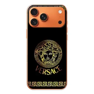 Чехлы VERSACE для Айфон 17 Pro Max (PREMIUMPrint)