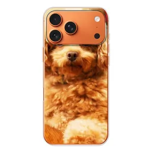 Чехлы с собаками для iPhone 17 Pro Max (VPrint) (Щенок Бишон)