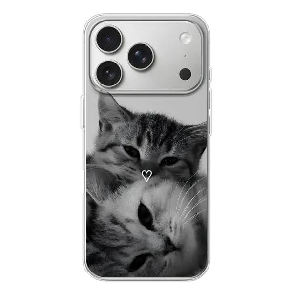 Чехол с принтом «Пара котов» для iPhone 17 Pro