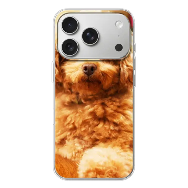 Чехол с принтом «Щенок Бишон» для iPhone 17 Pro