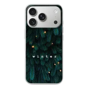 Новогодние, Праздничные Чехлы для iPhone 17 Pro - 2024 год (Winter)