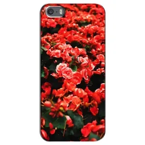 Чохли з квітами для iPhone 5 / 5s / SE (VPrint) (Квіти червоні)
