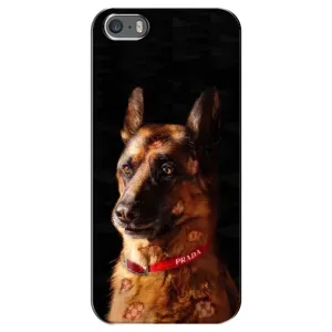 Чохли з картинкою животних iPhone 5 / 5s / SE (Овчарка)