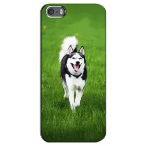 Чохол з Хаскі iPhone 5 / 5s / SE - (AlphaPrint) (Радісний Хаскі)