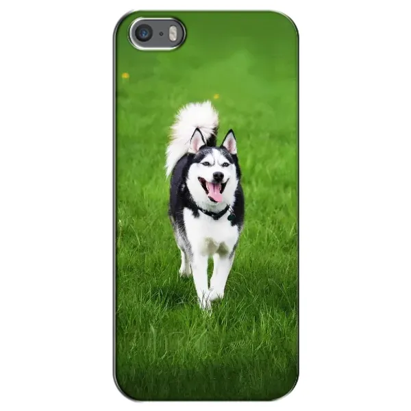 Чохол з принтом «Радісний Хаскі» для iPhone 5 / 5s / SE