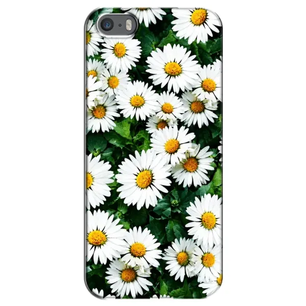 Чехол с принтом «Ромашки» для iPhone 5 / 5s / SE Чехол с принтом «Ромашки» для iPhone 5 / 5s / SE