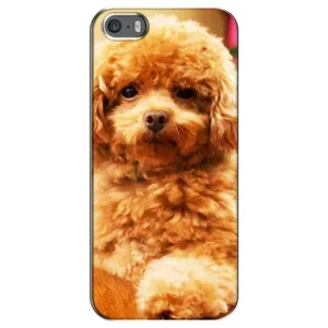Чохли з собаками для iPhone 5 / 5s / SE (VPrint) (Цуценя Бішон)
