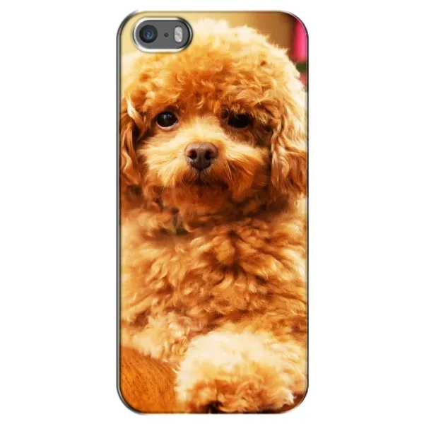 Чохол з принтом «Цуценя Бішон» для iPhone 5 / 5s / SE Чохол з принтом «Цуценя Бішон» для iPhone 5 / 5s / SE
