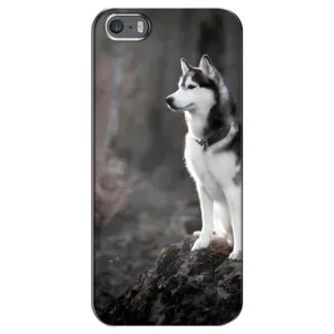 Чохол з Хаскі iPhone 5 / 5s / SE - (AlphaPrint) (Вірний собака)