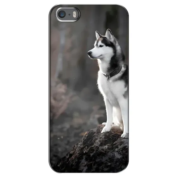 Чохол з принтом «Вірний собака» для iPhone 5 / 5s / SE