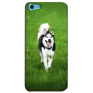 Чохол з Хаскі iPhone 5c - (AlphaPrint) (Радісний Хаскі)