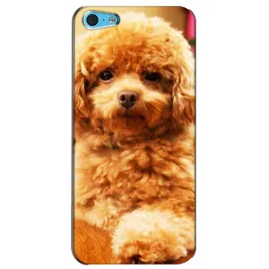 Чохли з собаками для iPhone 5c (VPrint) (Цуценя Бішон)