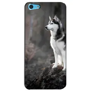 Чохол з Хаскі iPhone 5c - (AlphaPrint) (Вірний собака)