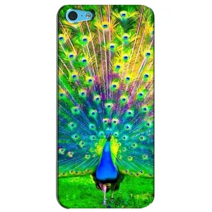 Чехол с птицами на iPhone 5c (VPrint) (Яркий Павлин)