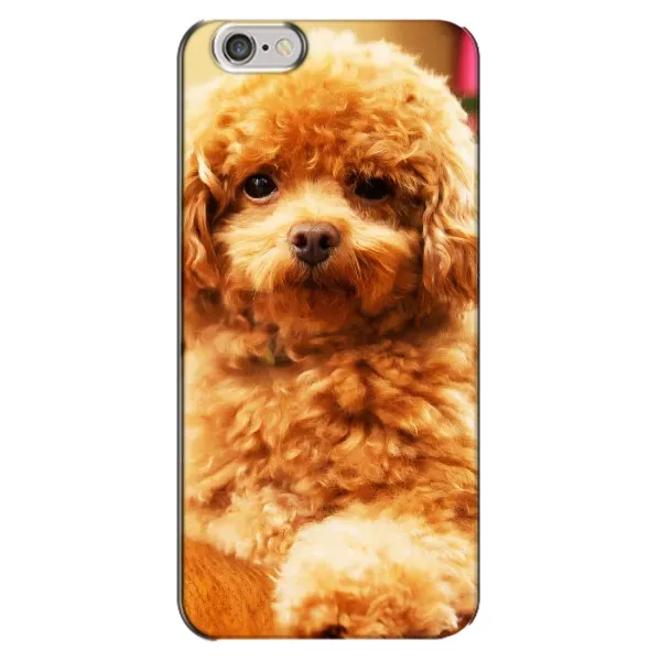 Чохол з принтом «Цуценя Бішон» для iPhone 6 Plus / 6s Plus