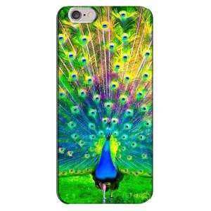 Чехол с птицами на iPhone 6 Plus / 6s Plus (VPrint) (Яркий Павлин)