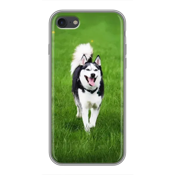 Чехол с принтом «Радостный Хаски» для iPhone 6 / 6s