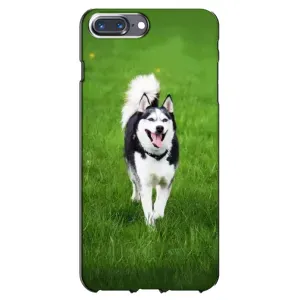Чохол з Хаскі iPhone 7 Plus - (AlphaPrint) (Радісний Хаскі)