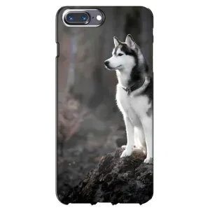 Чохол з Хаскі iPhone 7 Plus - (AlphaPrint) (Вірний собака)