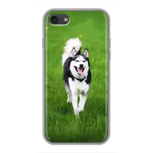 Чохол з Хаскі iPhone 7 - (AlphaPrint) (Радісний Хаскі)