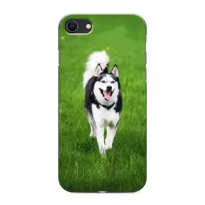Чехол с Хаски для iPhone SE (2020) - (AlphaPrint) (Радостный Хаски)