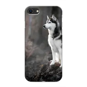 Чехол с Хаски для iPhone SE (2020) - (AlphaPrint) (Верный пес)