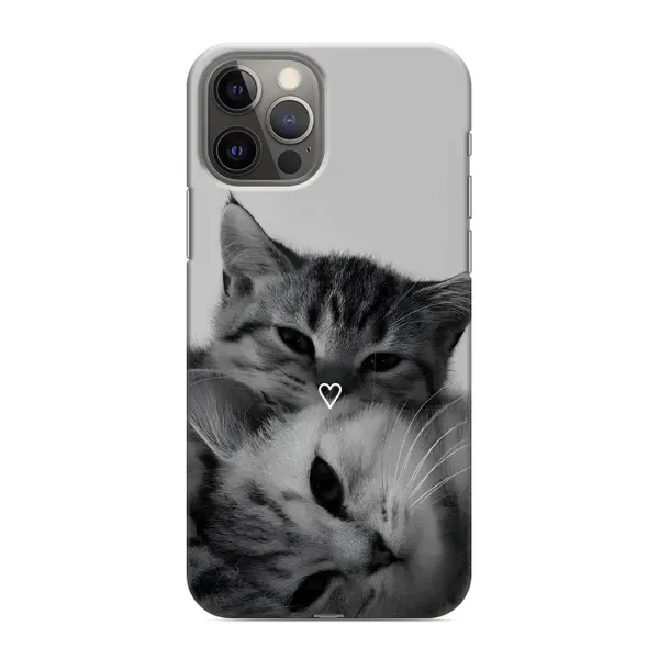 Чехол с принтом «Пара котов» для iPhone 11 Pro Max