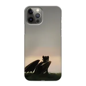 Чехол как приручить дракона на iPhone 11 Pro (Беззубик)