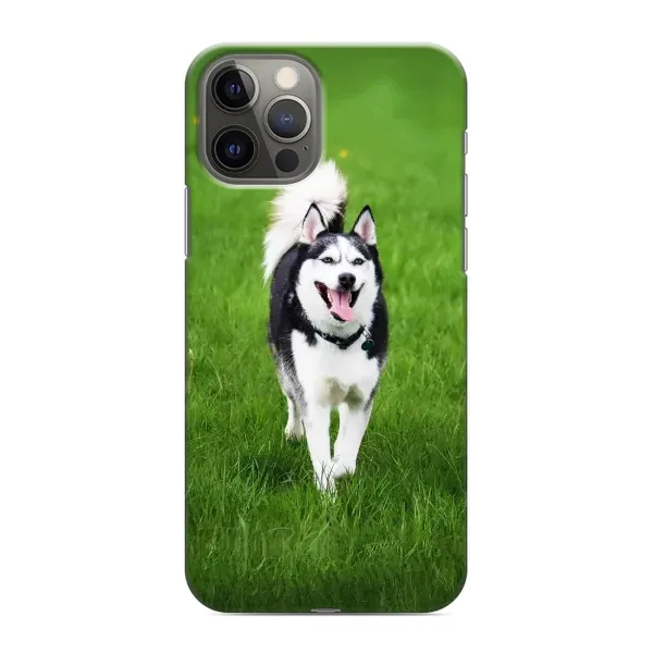 Чохол з принтом «Радісний Хаскі» для iPhone 11 Pro