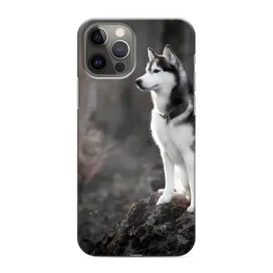 Чохол з Хаскі iPhone 11 Pro - (AlphaPrint) (Вірний собака)