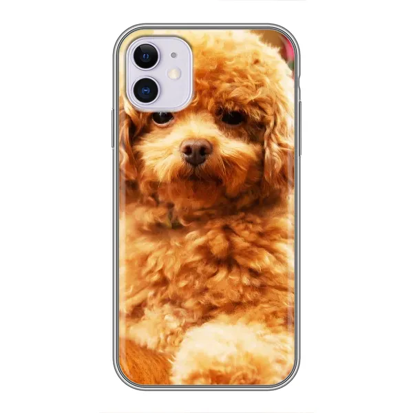 Чохол з принтом «Цуценя Бішон» для iPhone 11