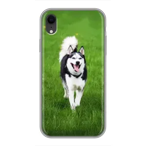 Чехол с Хаски для iPhone Xr - (AlphaPrint) (Радостный Хаски)