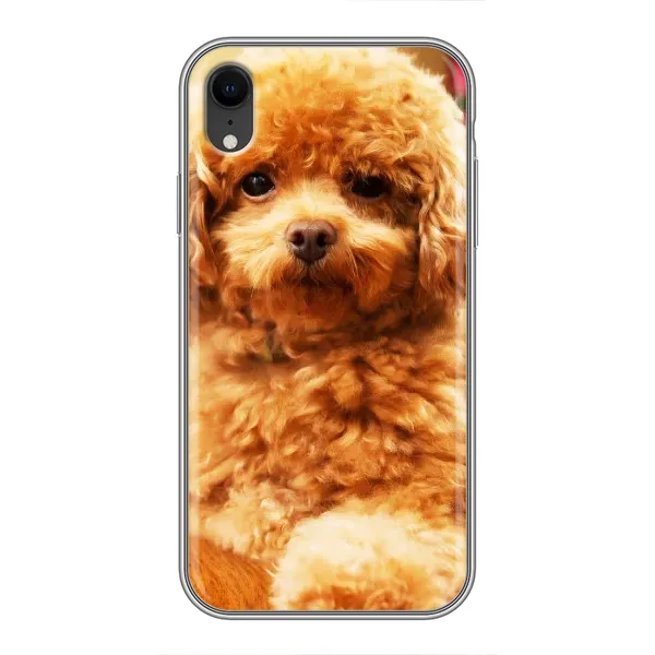 Чехол с принтом «Щенок Бишон» для iPhone Xr