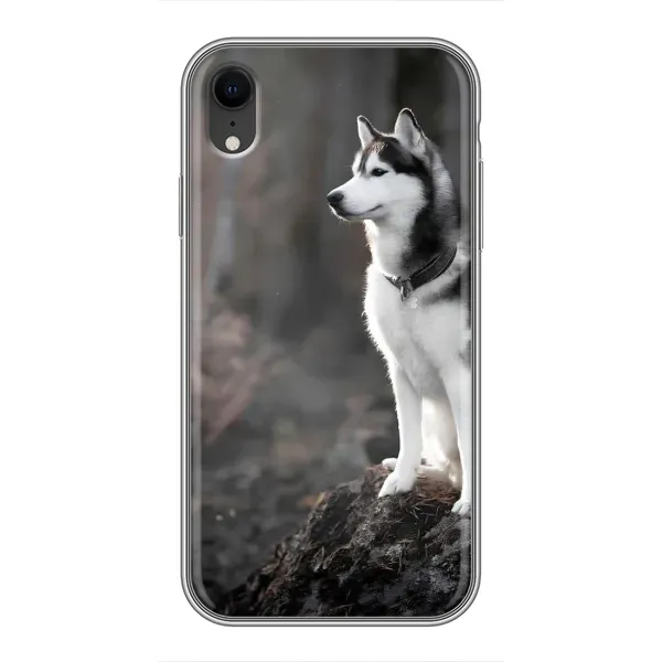 Чехол с принтом «Верный пес» для iPhone Xr Чехол с принтом «Верный пес» для iPhone Xr