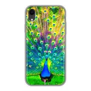 Чехол с птицами на iPhone Xr (VPrint) (Яркий Павлин)