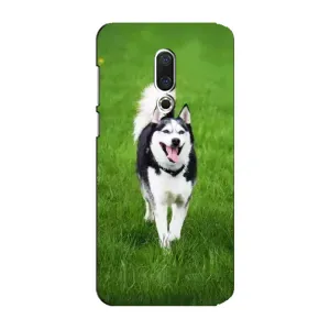 Чехол с Хаски для Meizu 15 Plus - (AlphaPrint) (Радостный Хаски)