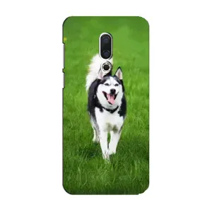 Чехол с принтом «Радостный Хаски» для Meizu 15