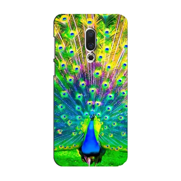 Чехол с принтом «Яркий Павлин» для Meizu 15