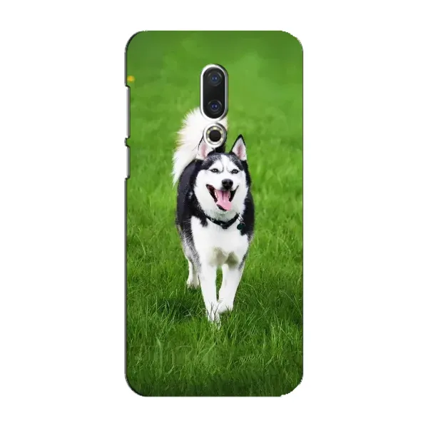 Чохол з принтом «Радісний Хаскі» для Meizu 16 Plus
