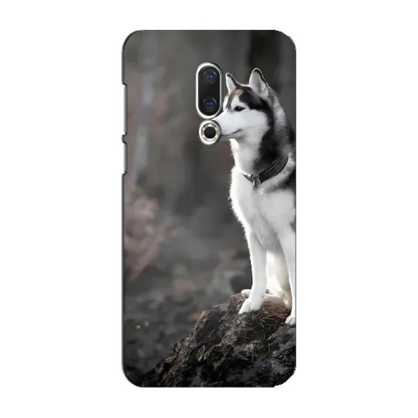 Чохол з принтом «Вірний собака» для Meizu 16 Plus