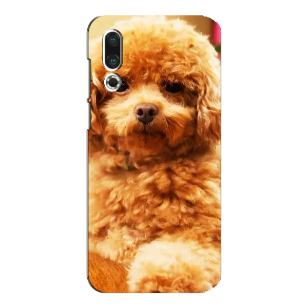 Чехол с принтом «Щенок Бишон» для Meizu 16s