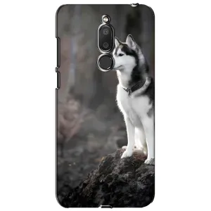 Чохол з Хаскі Meizu M6T, Meilan 6T - (AlphaPrint) (Вірний собака)
