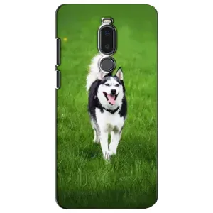 Чехол с Хаски для Meizu Note 8 - (AlphaPrint) (Радостный Хаски)