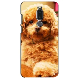 Чехлы с собаками для Meizu Note 8 (VPrint) (Щенок Бишон)